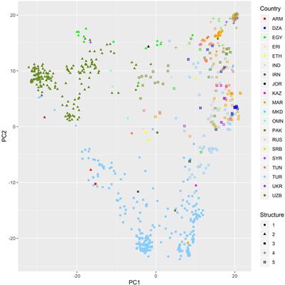 Predictive Characterization for Seed Morphometric Traits for Genebank Accessions Using Genomic Selection
